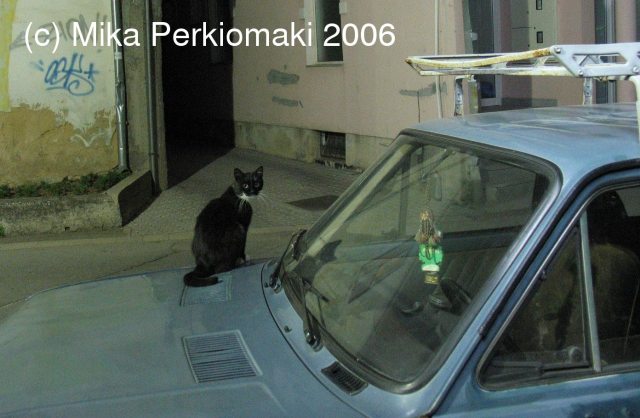 [26_Cat_in_Mostar.jpg]