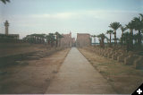 [Temple of Luxor]